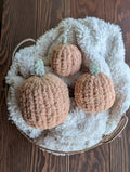 Pumpkin BUNDLE
