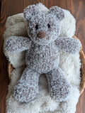 Classic Teddy Bear